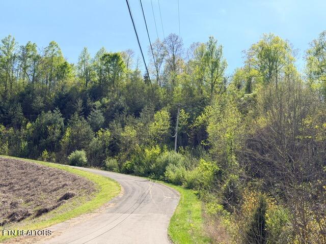 Image 2: IMG_1932