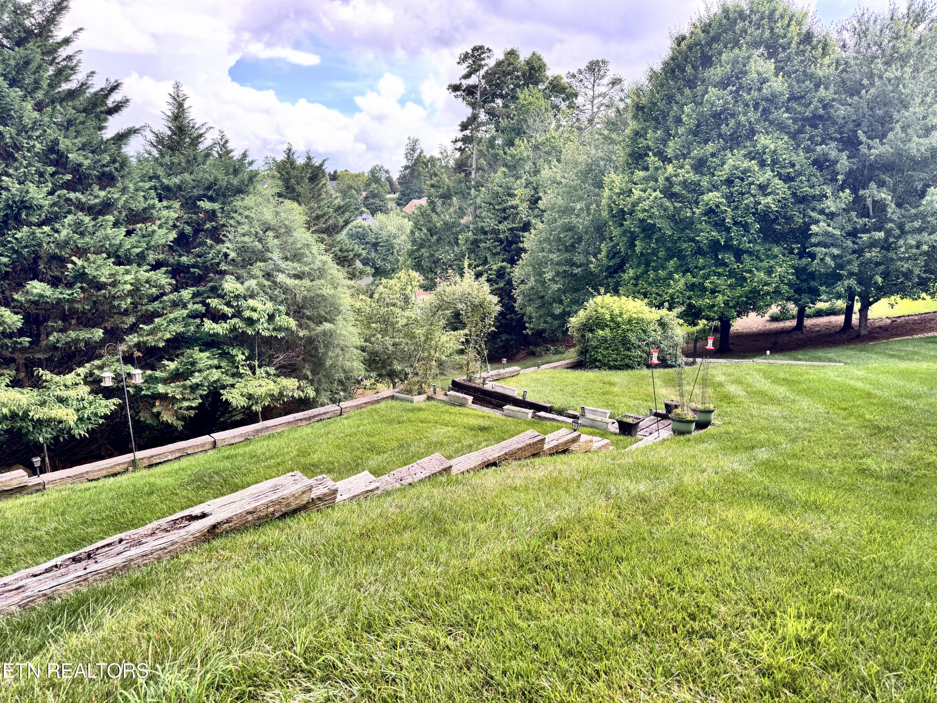 Image 2: Gorgeous private yard