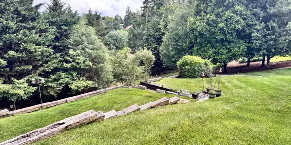 Image 2: Gorgeous private yard