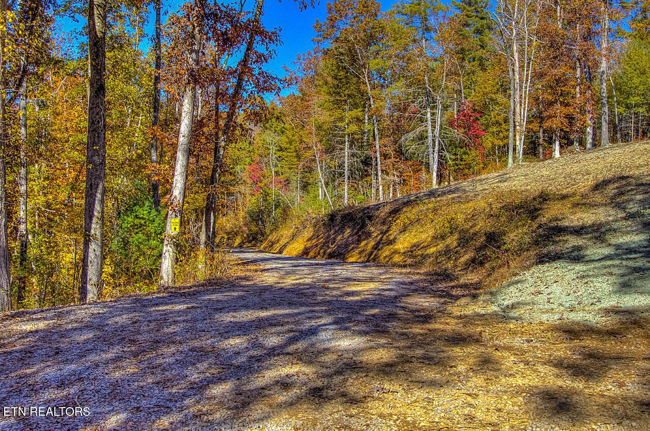Image 3: Access Road