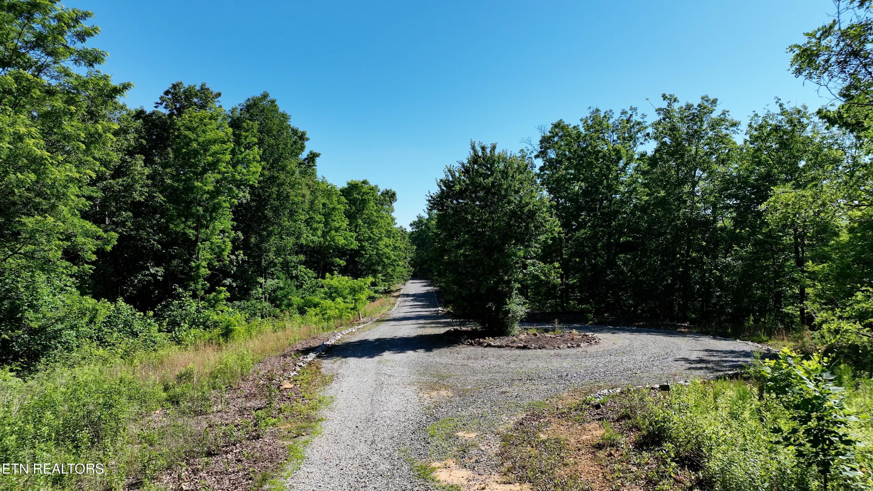 Image 4: 4