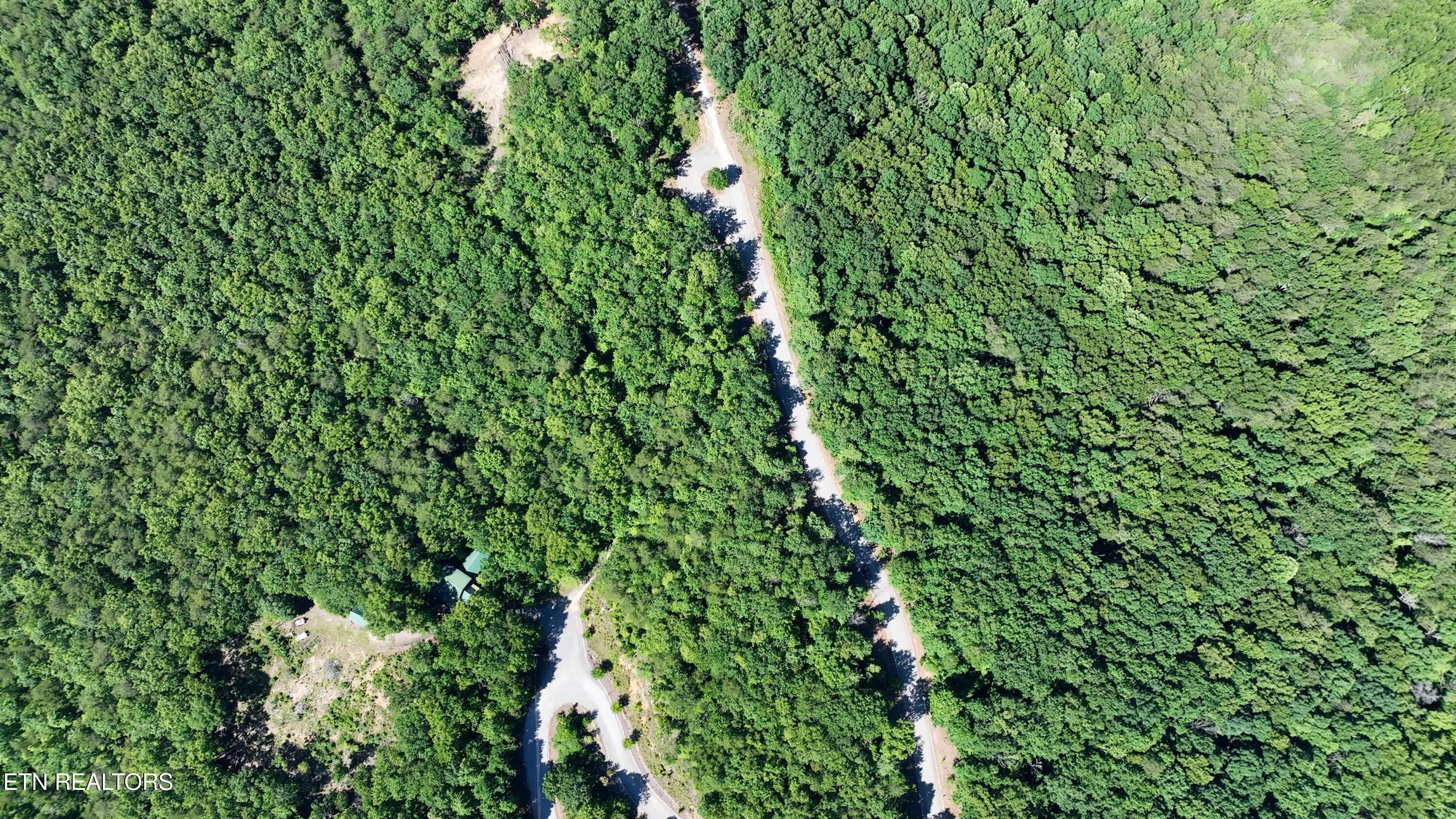 Image 4: 7