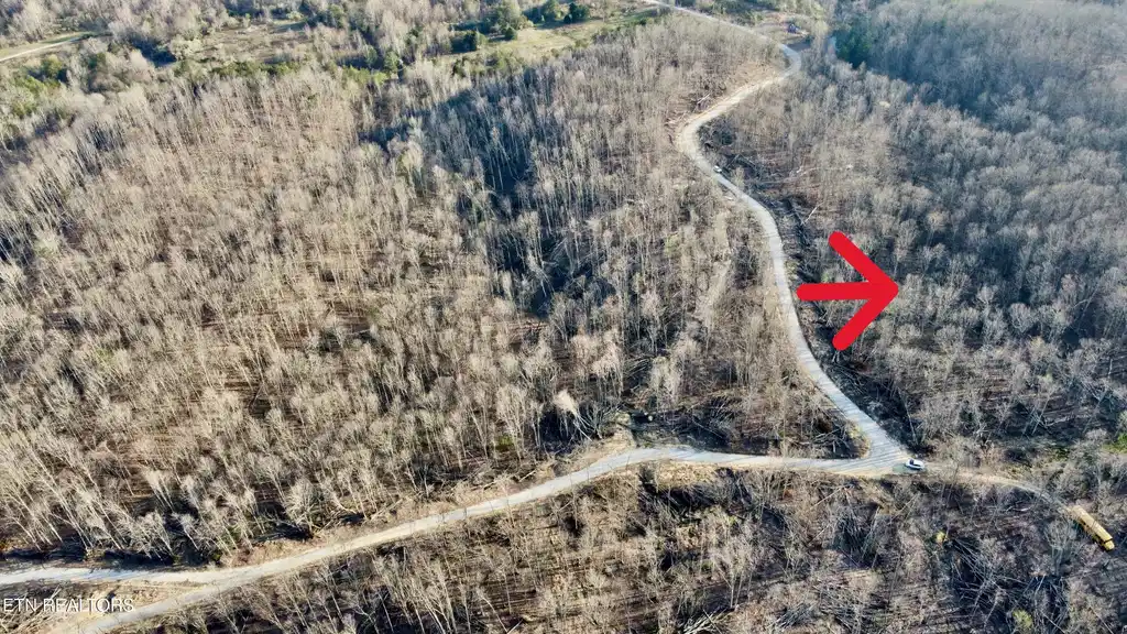 Image 1: Lot 7