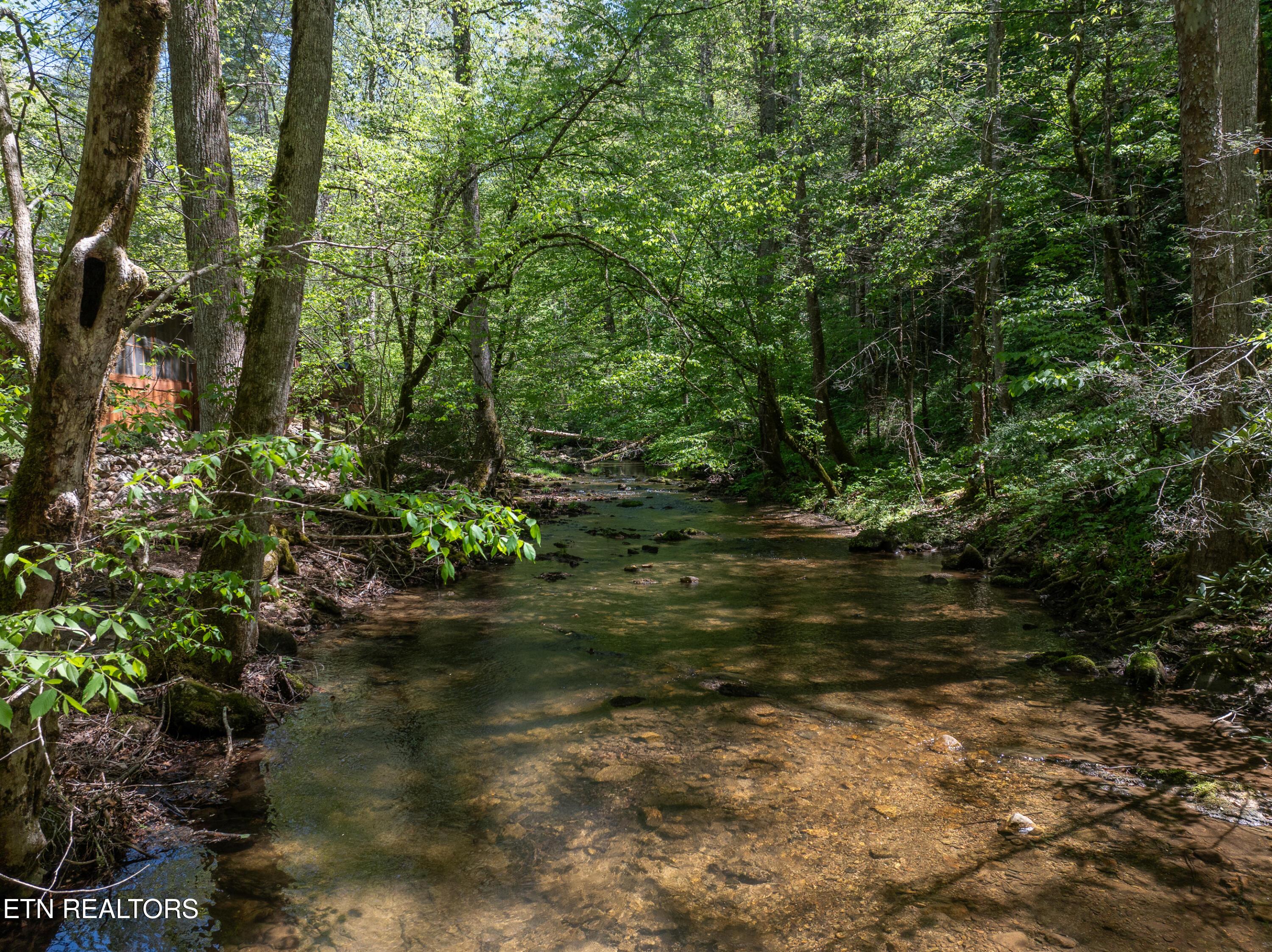 Image 4: DJI_0695