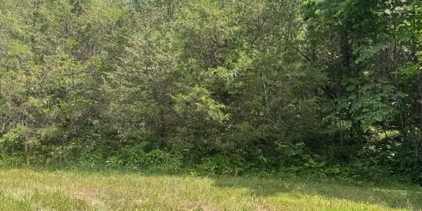 00 Mulberry Gap Rd Rd
