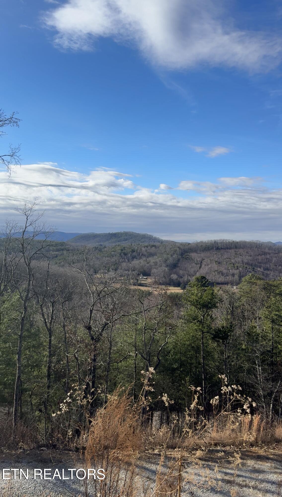 Image 2: View recent photos