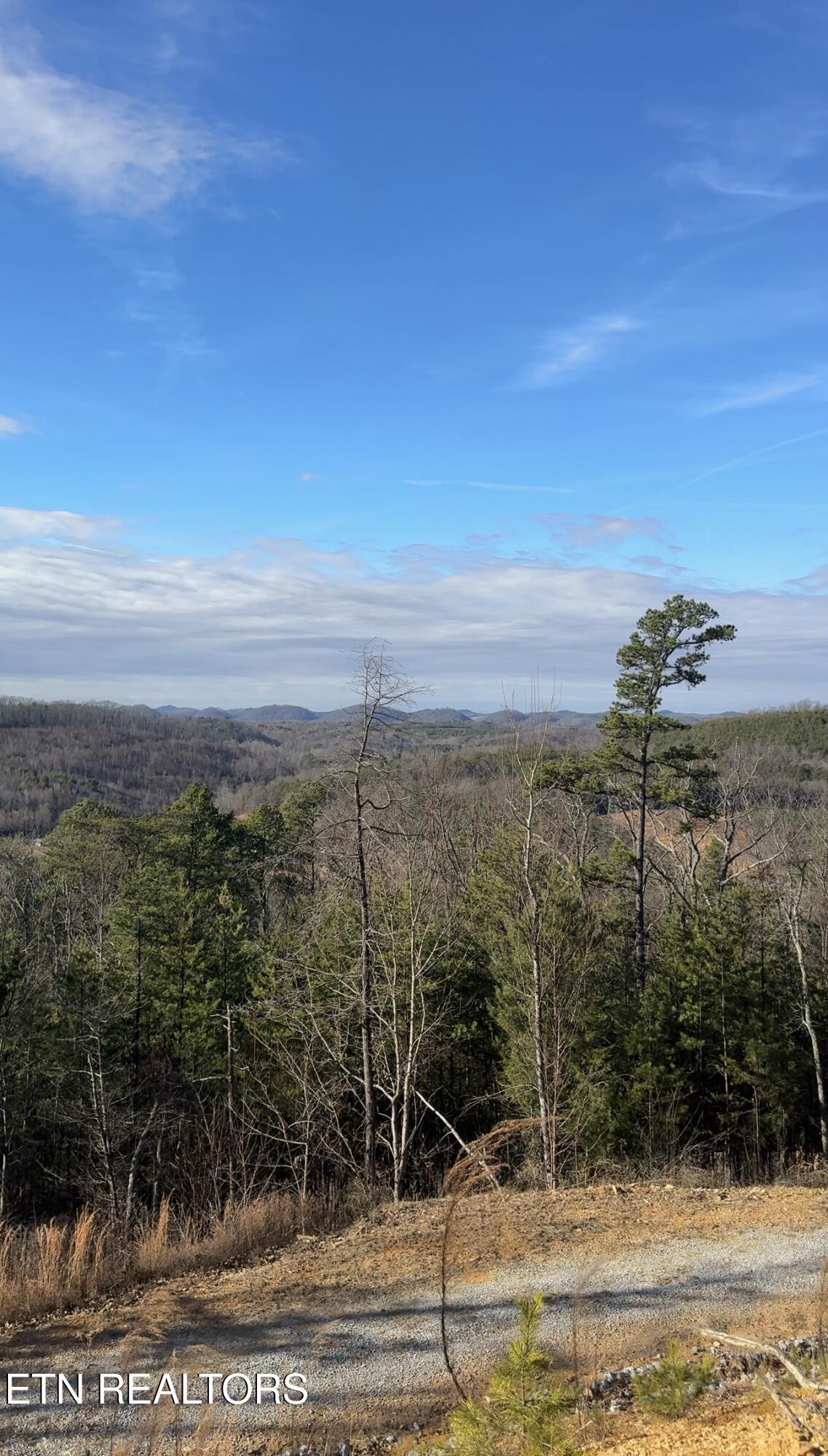 Image 4: View recent photos