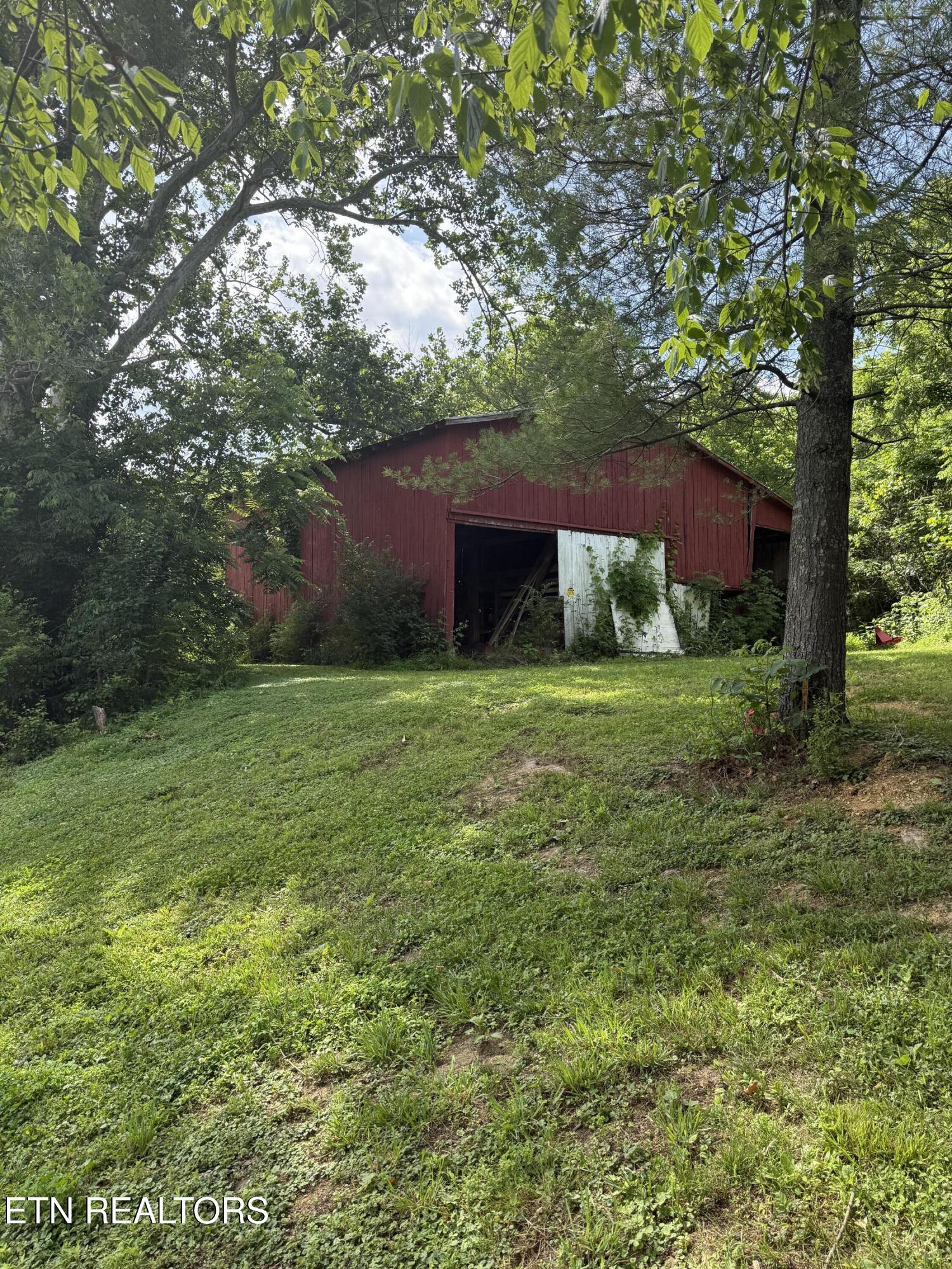 Image 3: IMG_6393 2