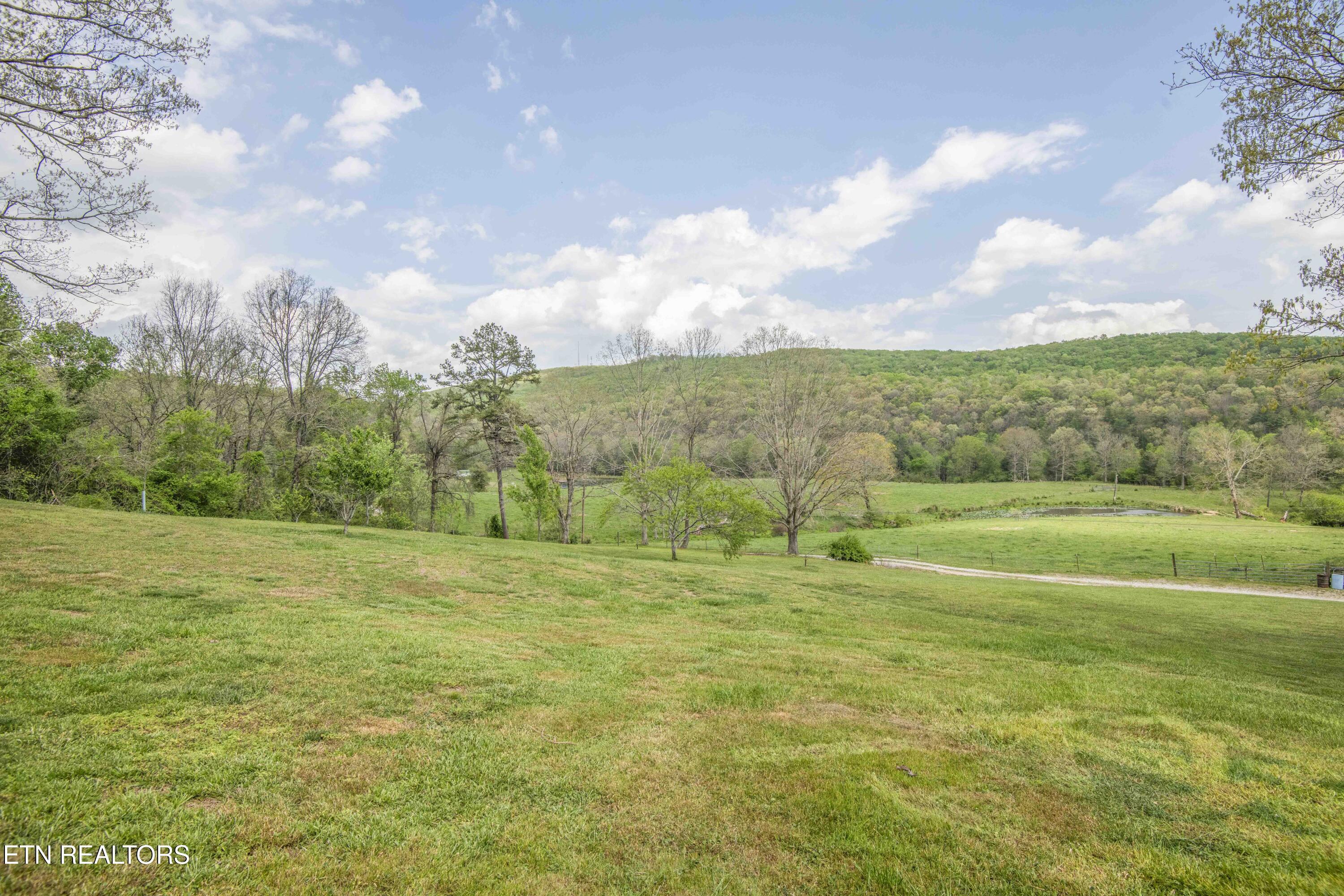 Image 3: yard 9_1