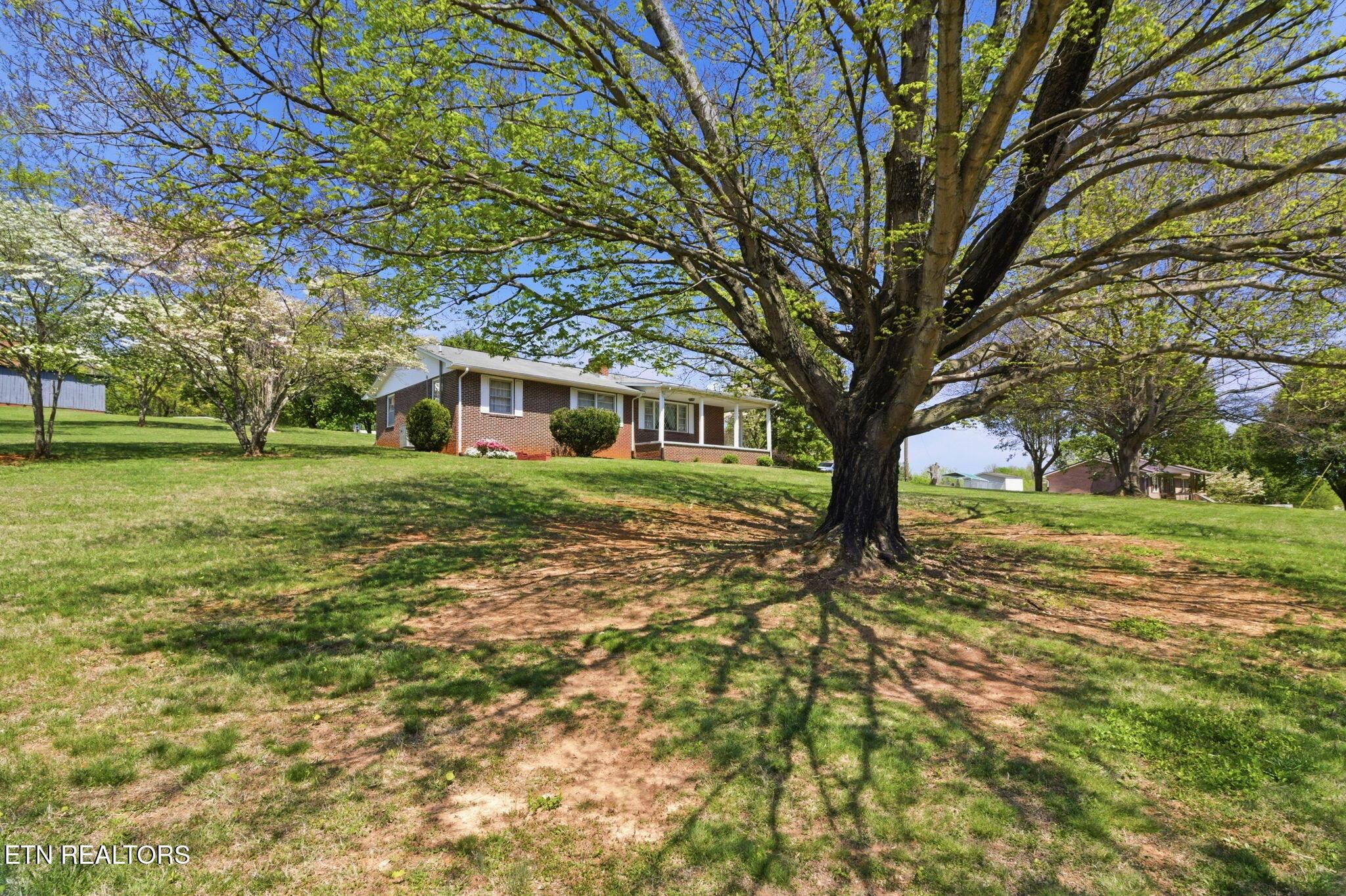 Image 4: 3-web-or-mls-DZ3A1169