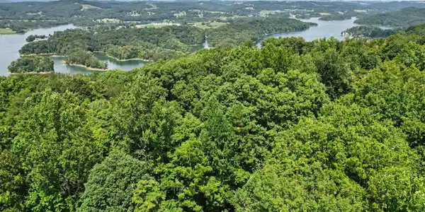Image 2: dji_0164_