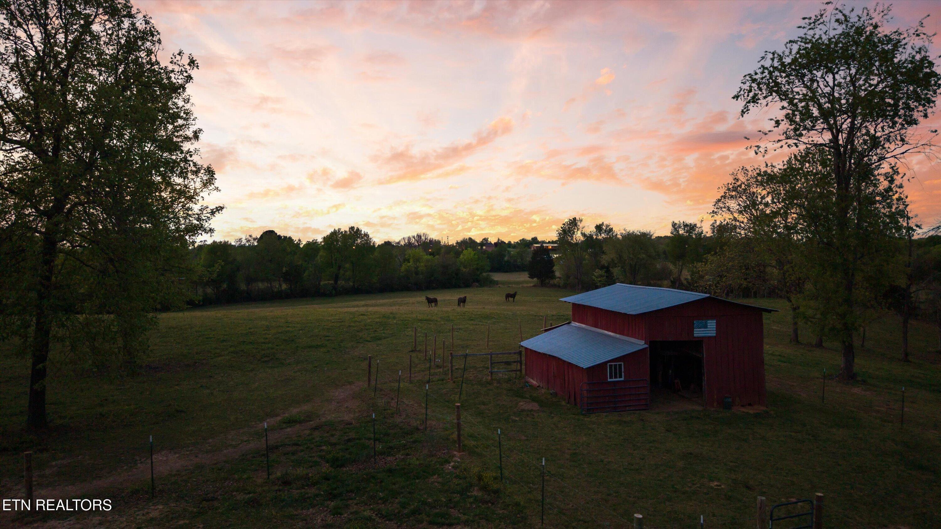 Image 4: Barn and pasture