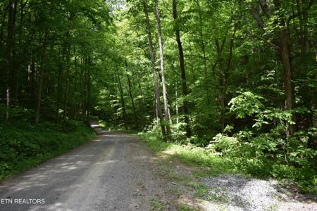 Shady Valley Rd