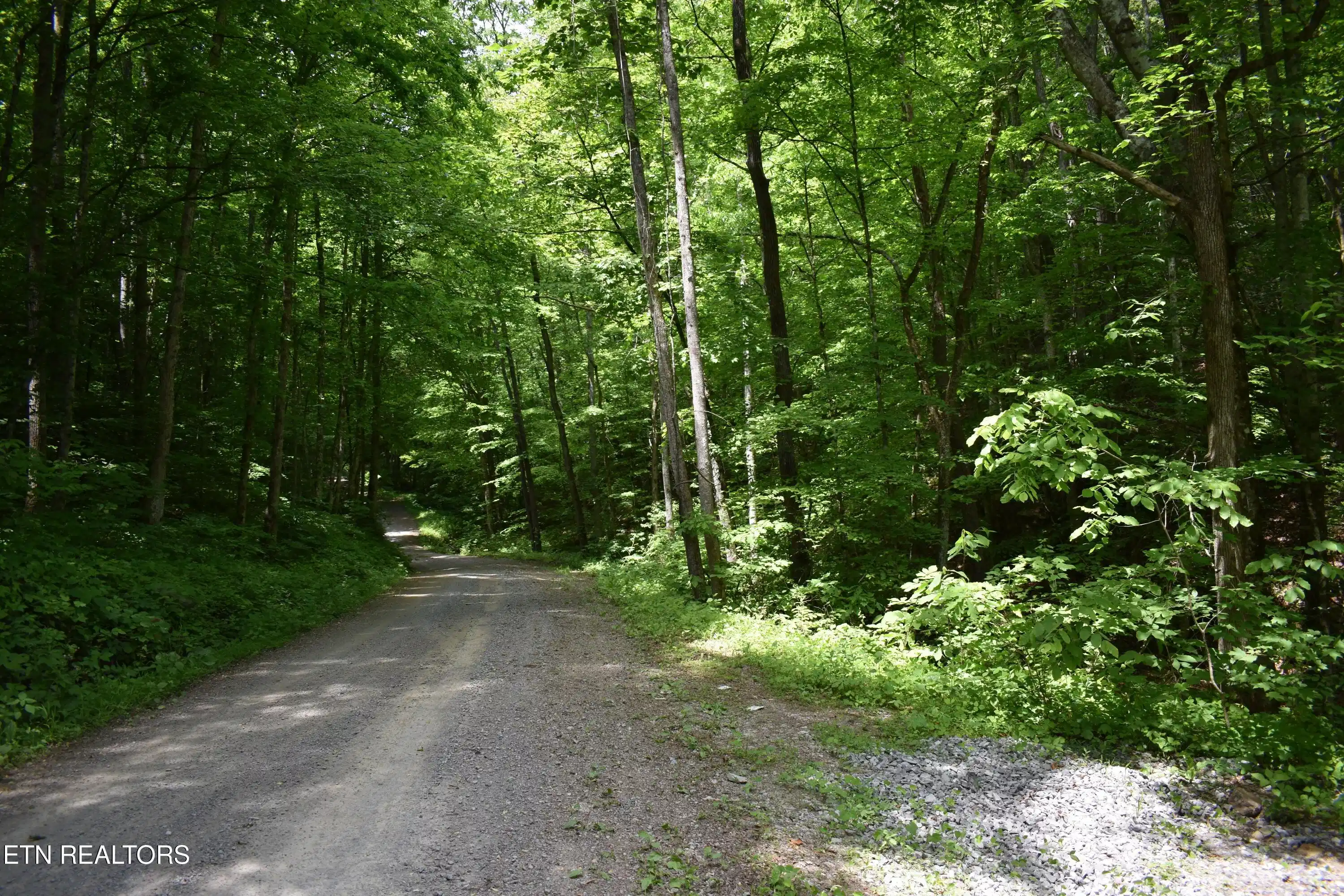 Image 1: DSC_0001