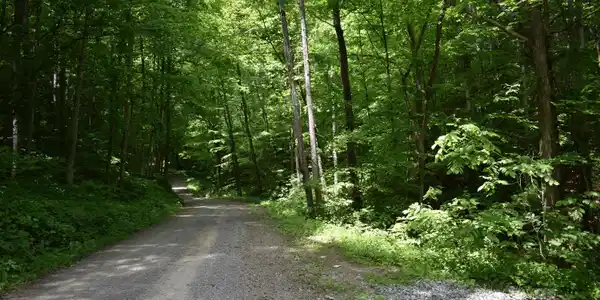 Shady Valley Rd
