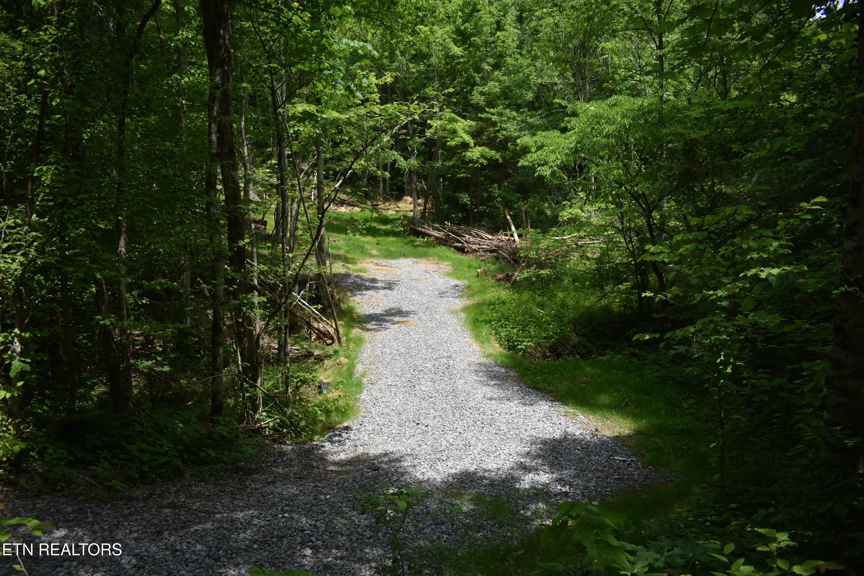 Image 2: DSC_0002
