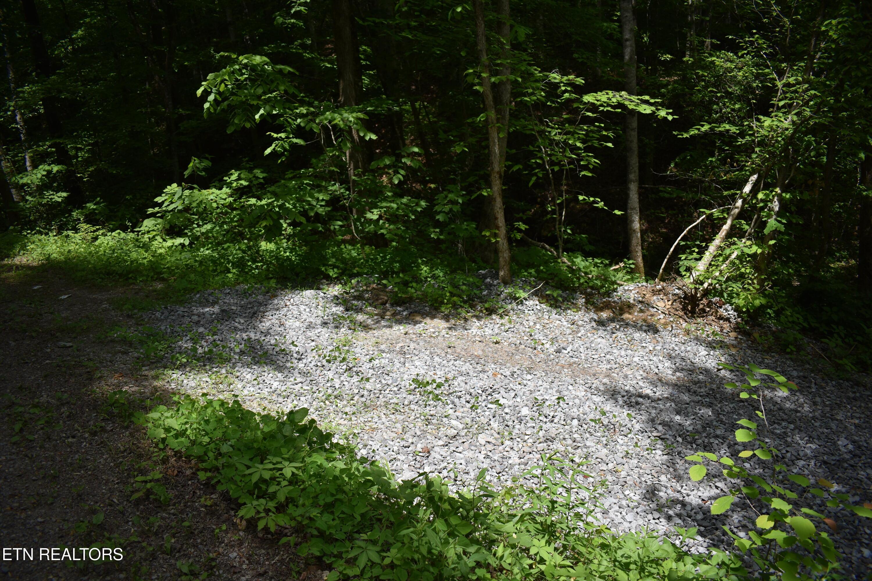 Image 3: DSC_0003