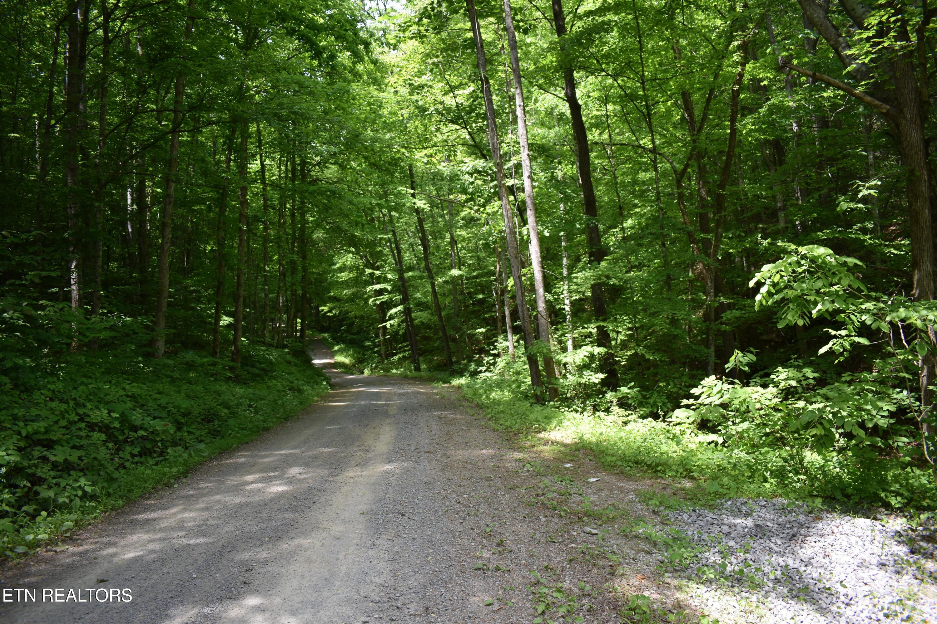 Image 4: DSC_0004