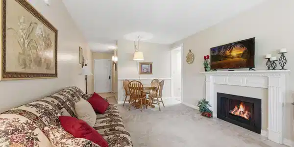 Image 4: Gas Fireplace