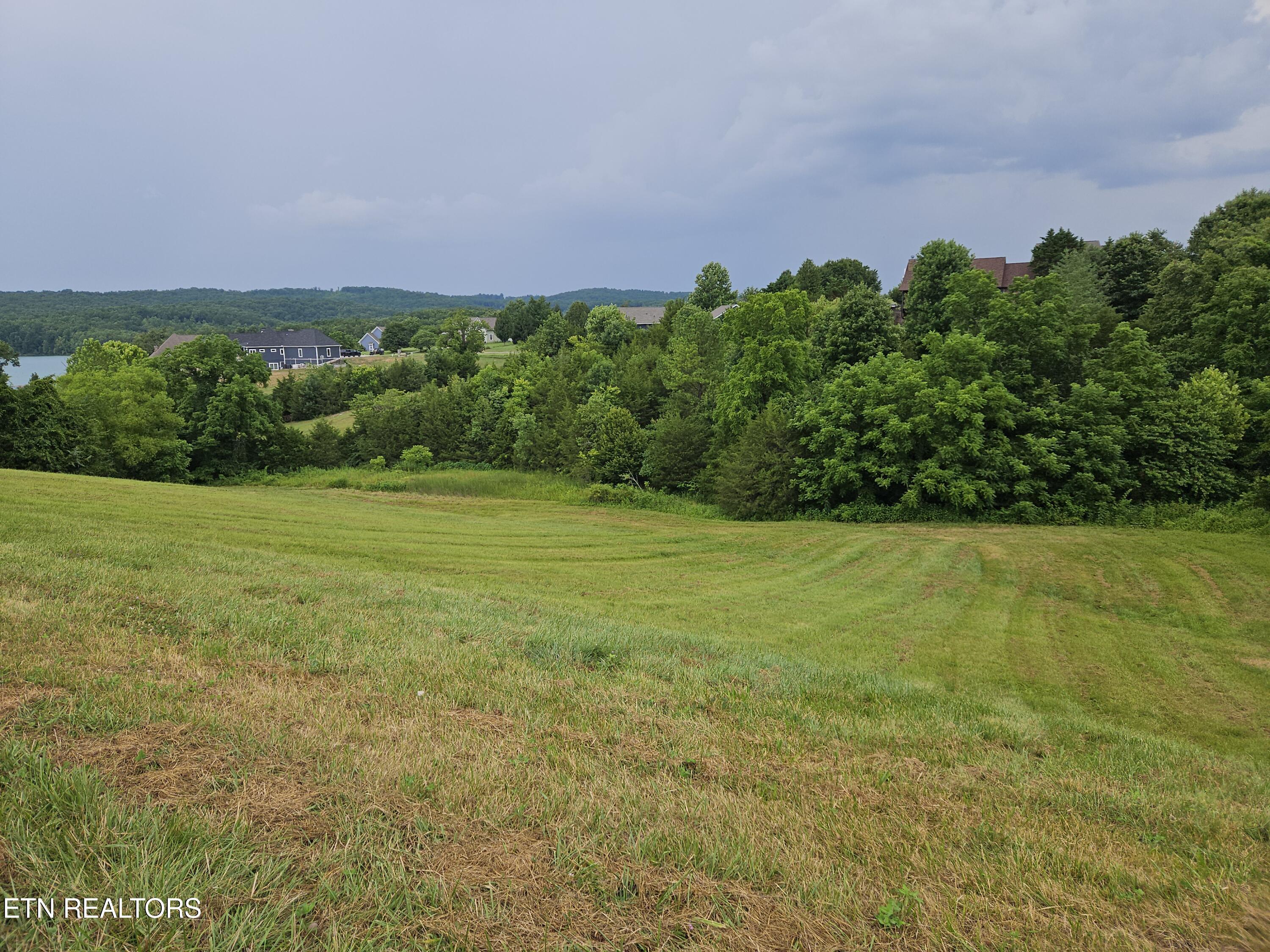 Image 3: 20250701_144223 (1)