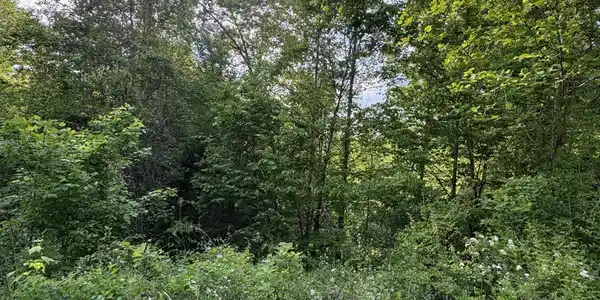 lot 29 Saddleridge Drive