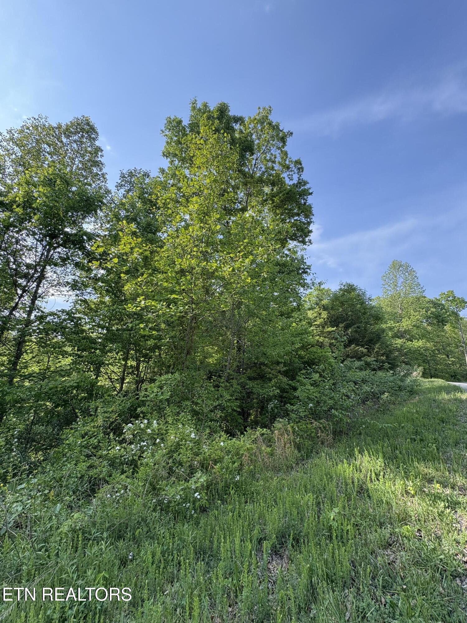 Image 3: IMG_8724