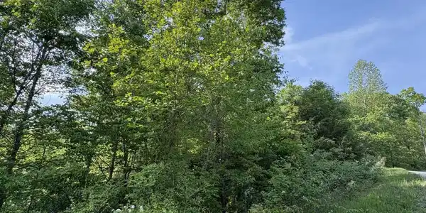 Image 3: IMG_8724