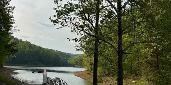 Image 4: IMG_8874