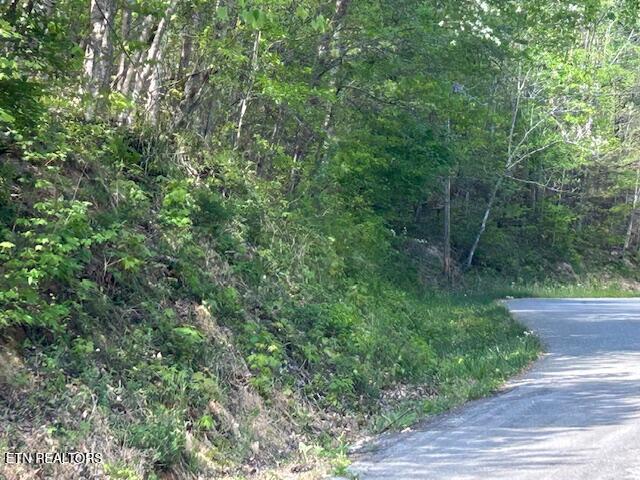 Image 1: IMG_8602