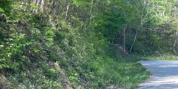 Lot 537 Whistle Valley Rd