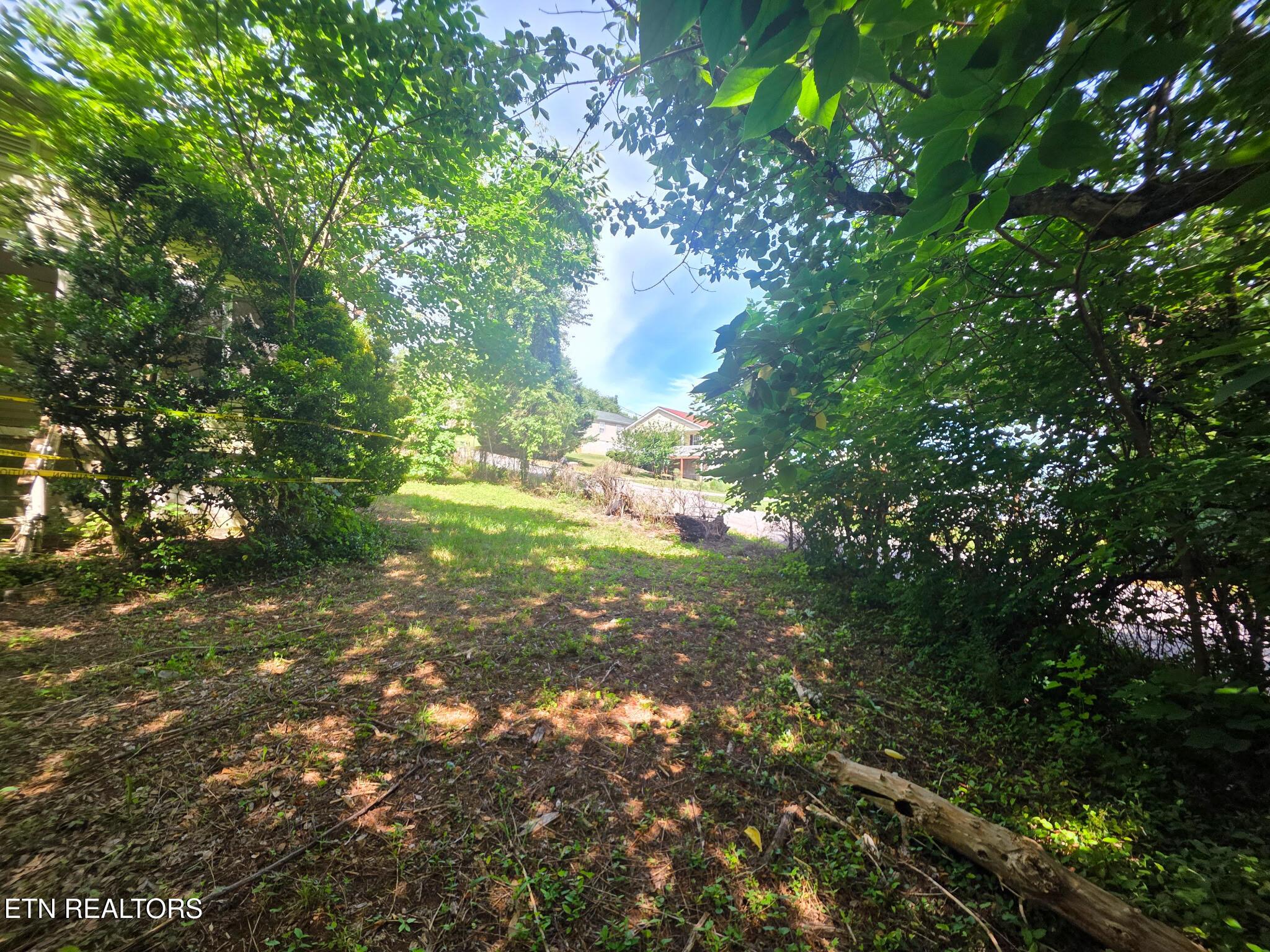 Image 3: 20260620_104822