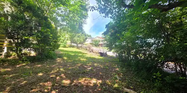 Image 3: 20260620_104822