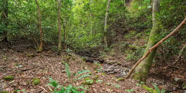 Image 4: 36-1220 Cougar Trail 41
