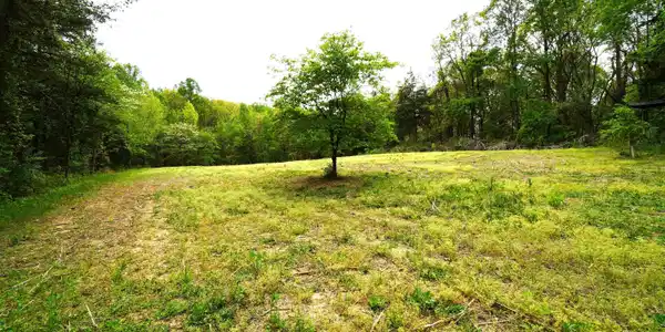 Tract 19 Pleasant View Cemetery Rd