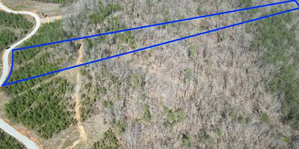 Image 3: Lot 8 -3