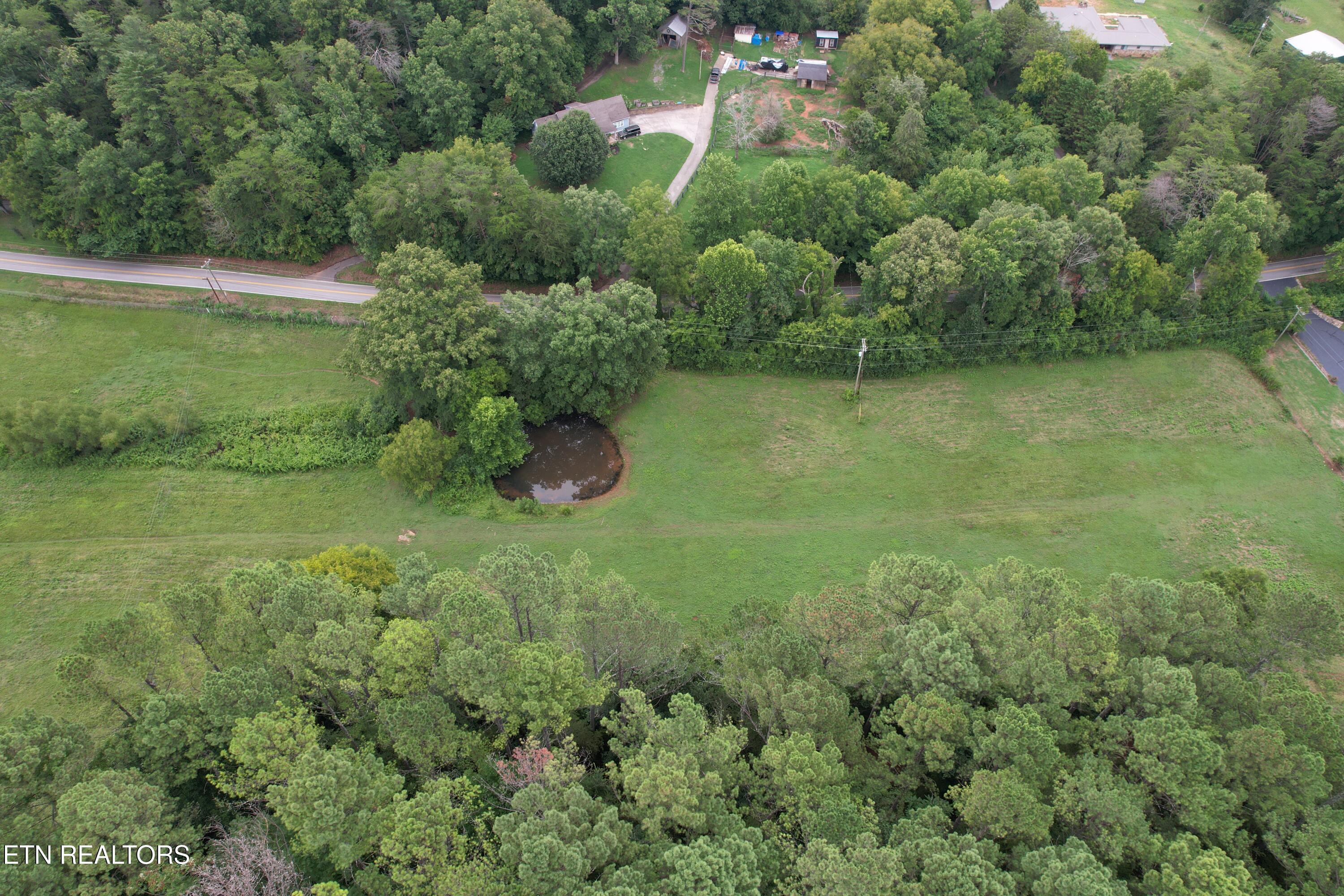 Image 2: Pond