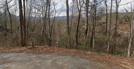 Shady Grove Lane
