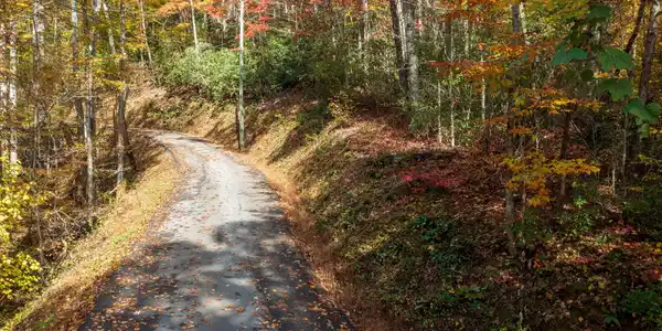 Lot 9 & 10 Laurel Mountain Rd