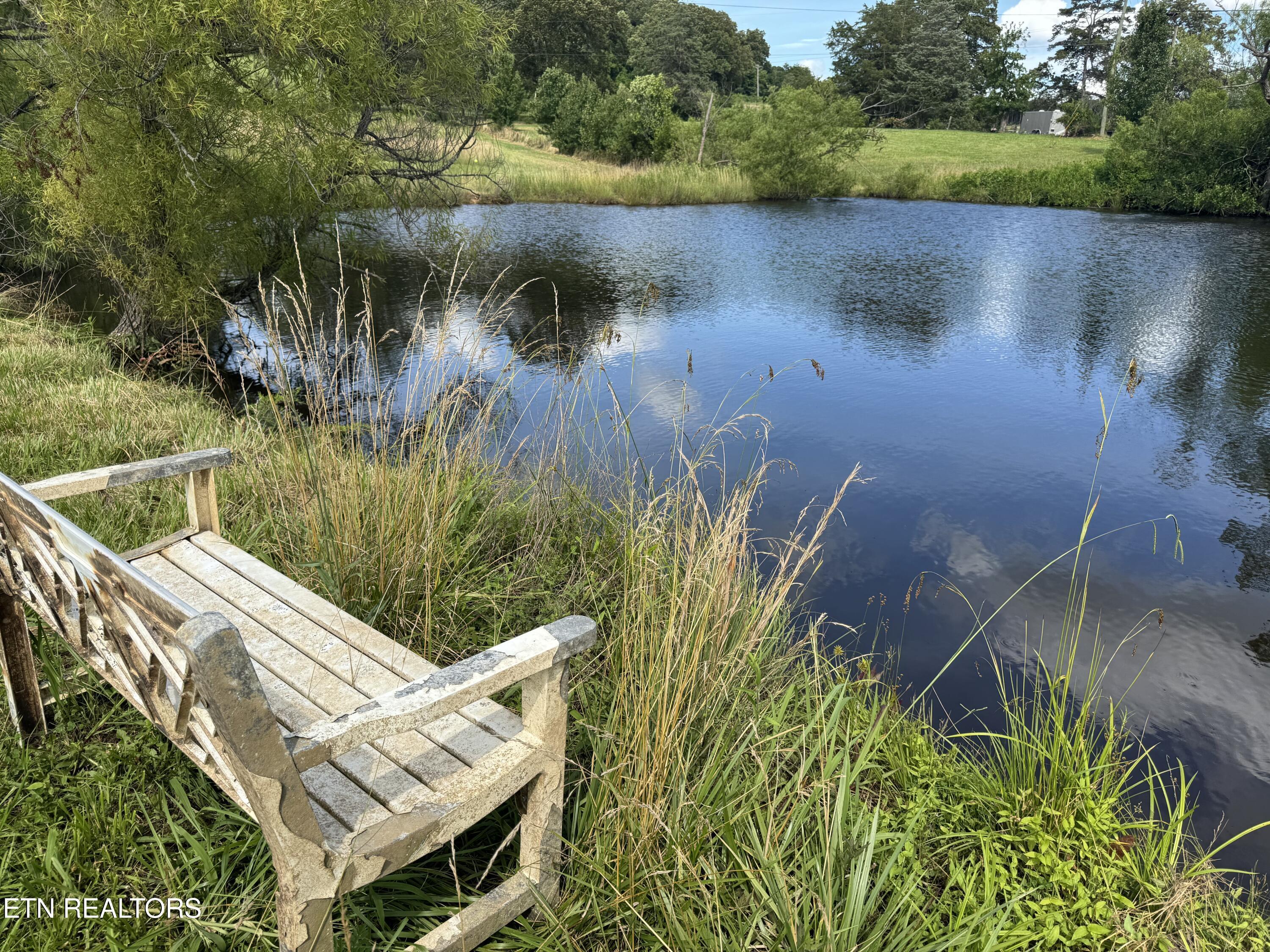 Image 3: Pond