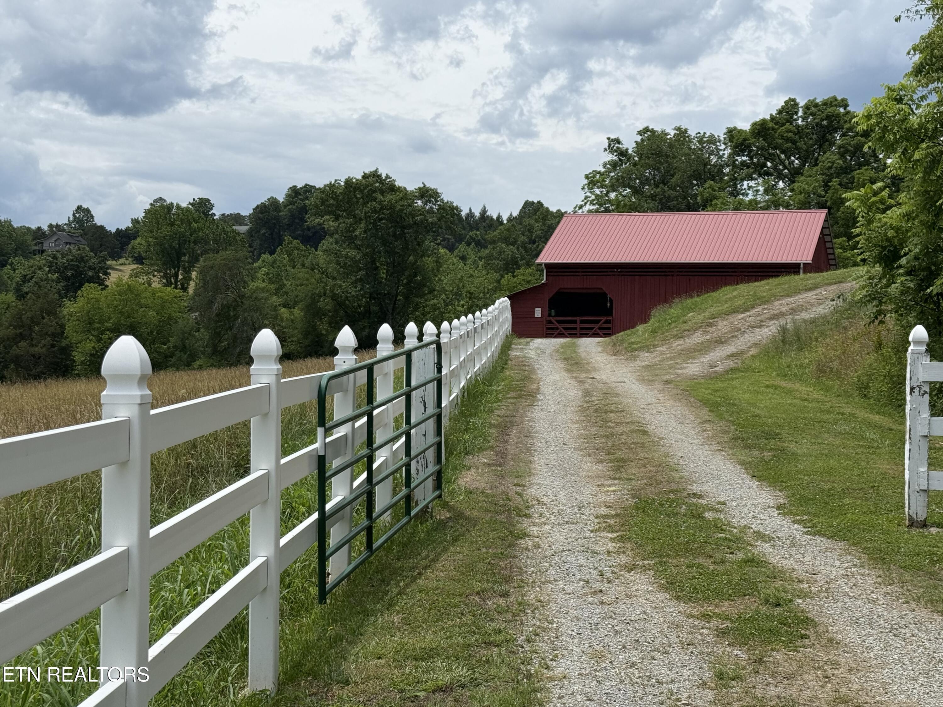 Image 4: IMG_8437