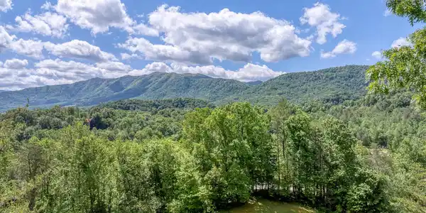 Image 2: DJI_0668