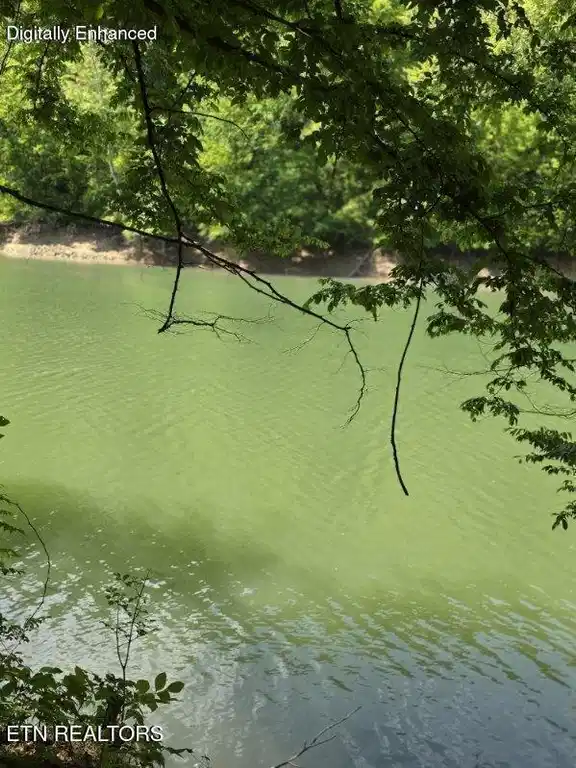 Image 1: image000005
