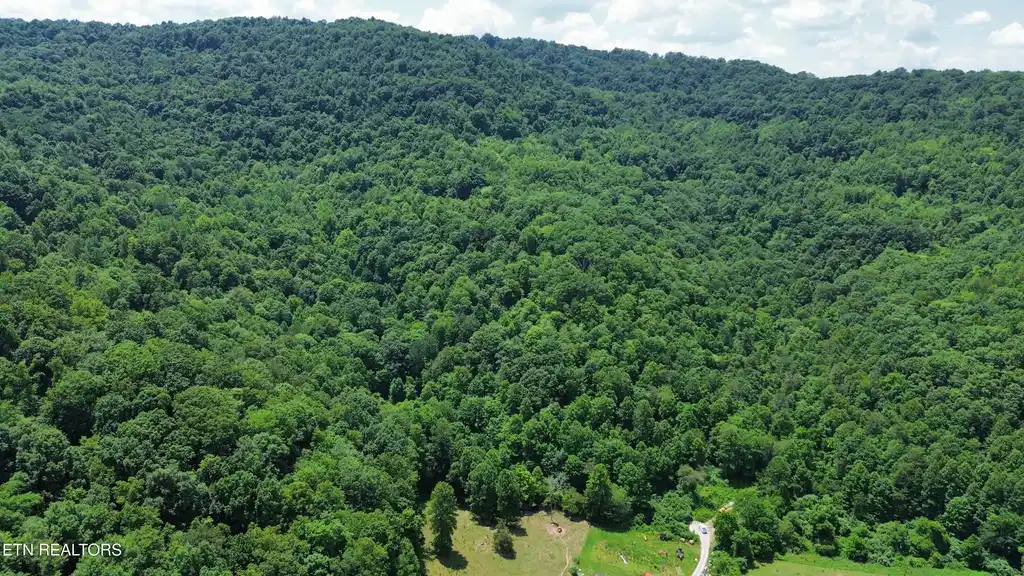 Image 1: dji_fly_20240620_152204_30_1718918414458