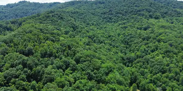 Image 2: dji_fly_20240620_152208_31_1718918407947