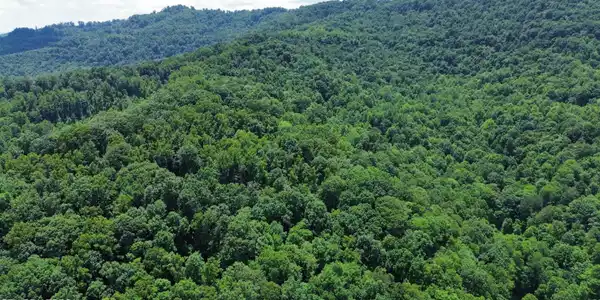 Image 3: dji_fly_20240620_152218_32_1718918344350
