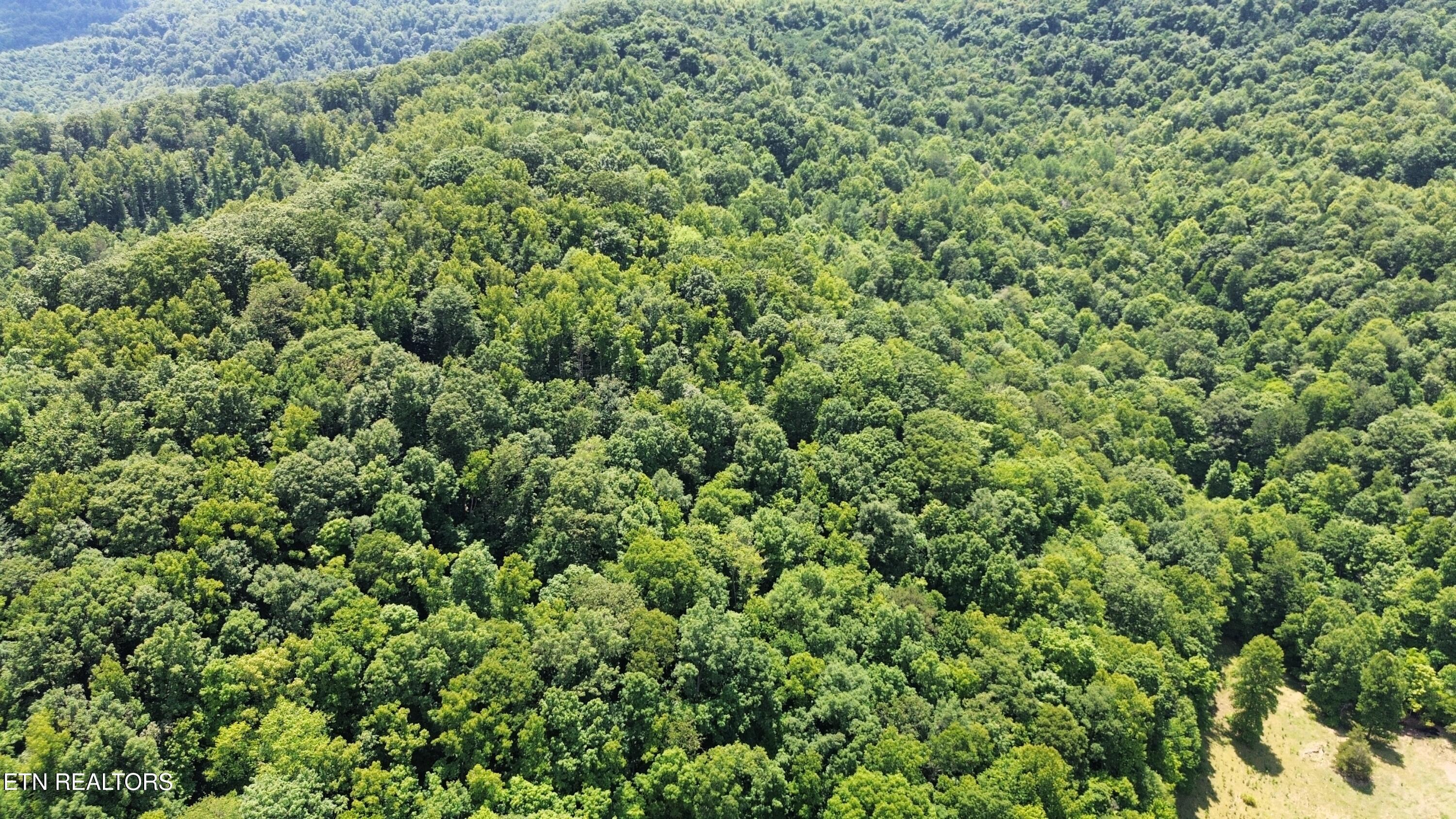Image 4: dji_fly_20240620_152228_33_1718918333716