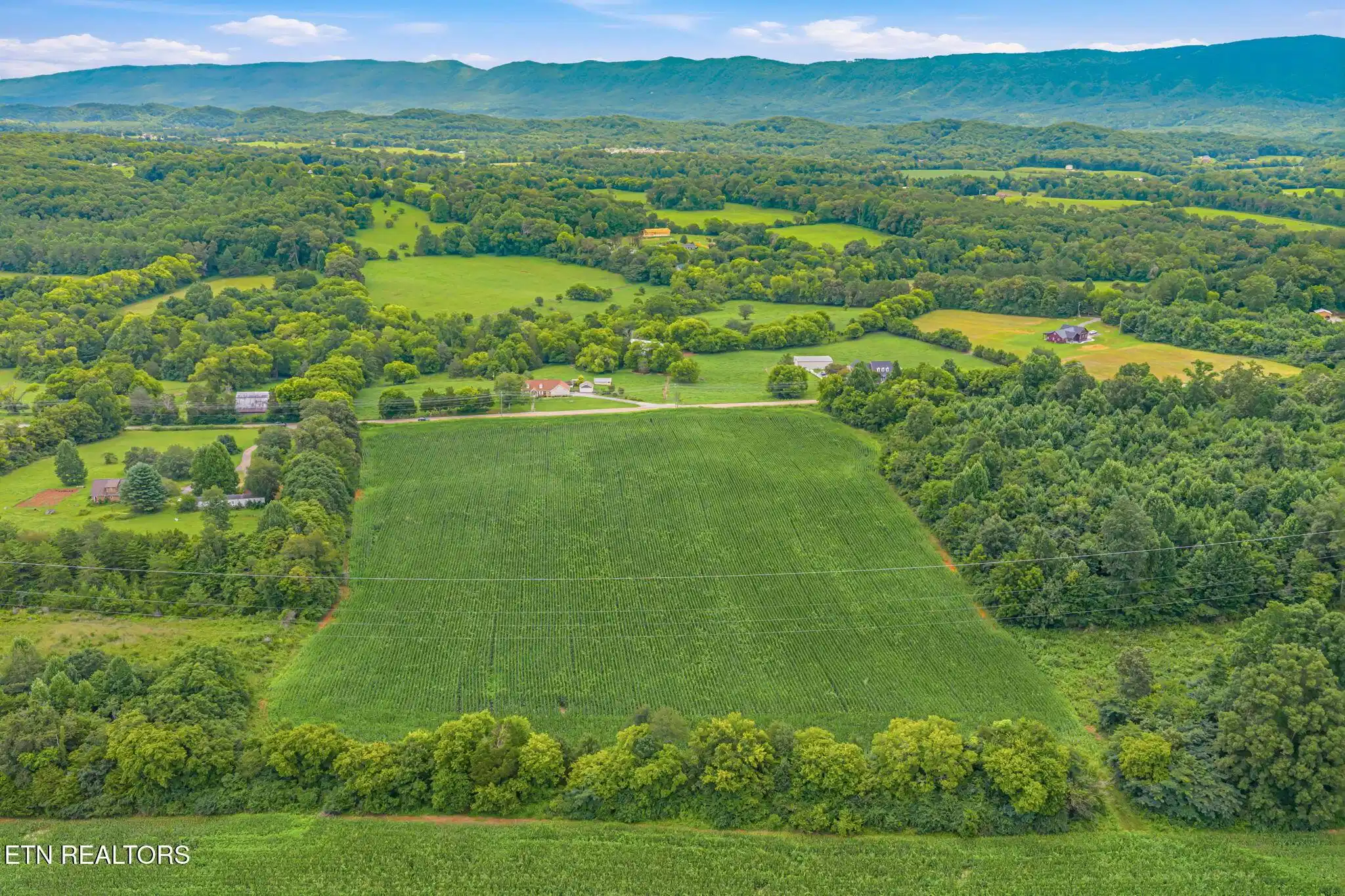 Image 1: 8-web-or-mls-1633 Calderwood Hwy-8