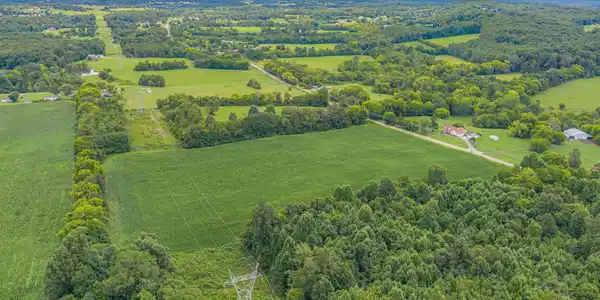 Image 2: 7-web-or-mls-1633 Calderwood Hwy-7