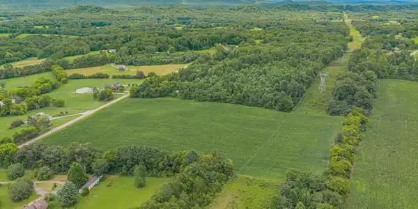 Image 4: 10-web-or-mls-1633 Calderwood Hwy-10