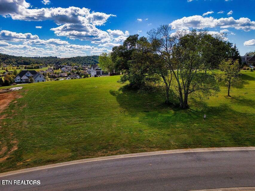 Image 2: 2912 Persimmon Ridge